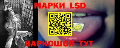 шишки Кингисепп