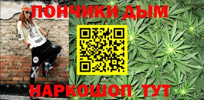 шишки Кингисепп