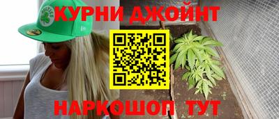 шишки Кингисепп