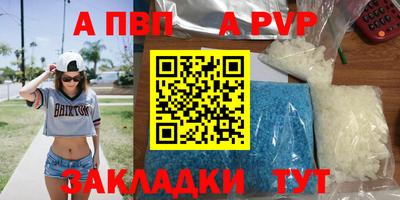 шишки Кингисепп